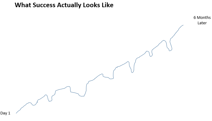 What success actually looks like