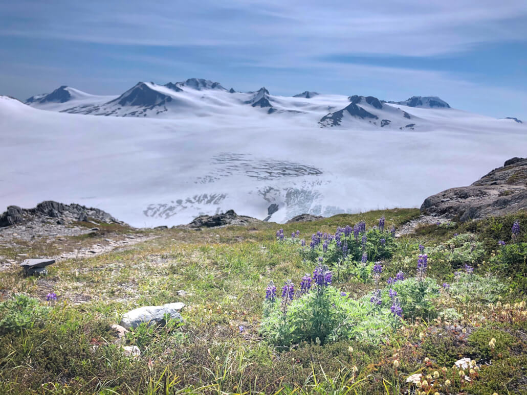 Harding Icefield Trail